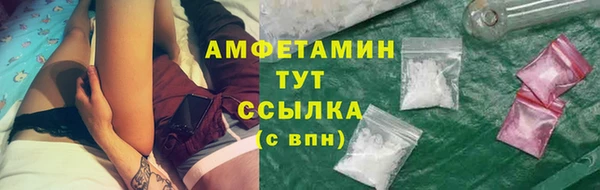 мет Няндома