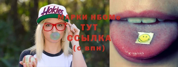 мет Няндома