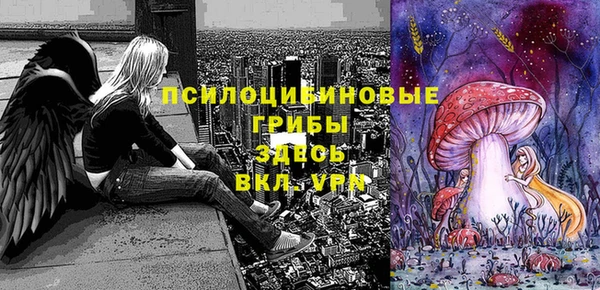 круглые Нягань