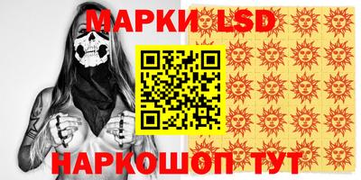 меф Гатчина