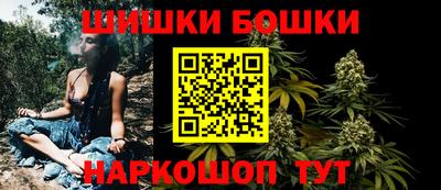 меф Гатчина
