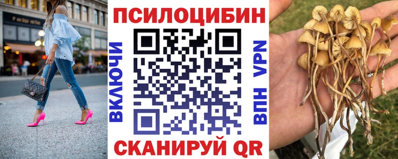 omg зеркало Ангарск Галлюциногенные грибы мицелий
