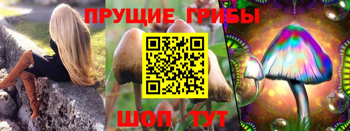 Галлюциногенные грибы Psilocybe  Вход с VPN  Ангарск 