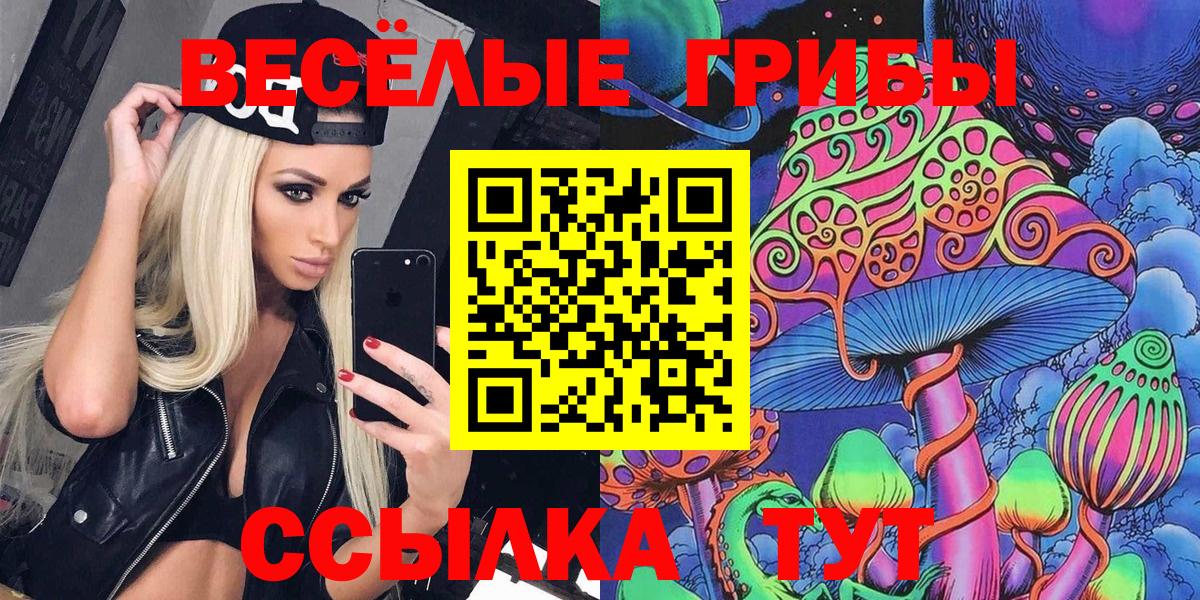 Псилоцибиновые грибы Cubensis Ангарск