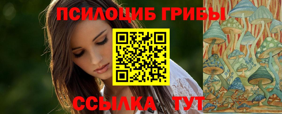 Ангарск  Псилоцибиновые грибы мухоморы  как найти   Галлюциногенные грибы MAGIC MUSHROOMS  Вход с VPN 