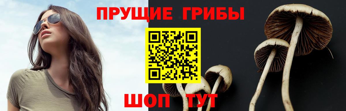 Галлюциногенные грибы Psilocybine cubensis  Ангарск  Галлюциногенные грибы Magic Shrooms 
