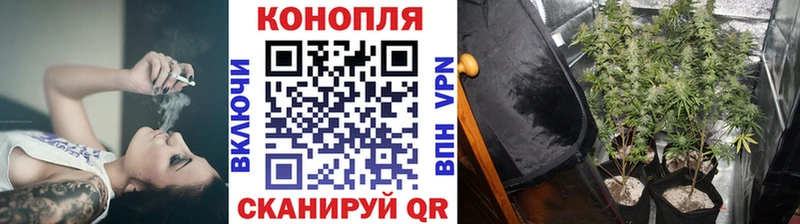 Бошки Шишки конопля  Ангарск 